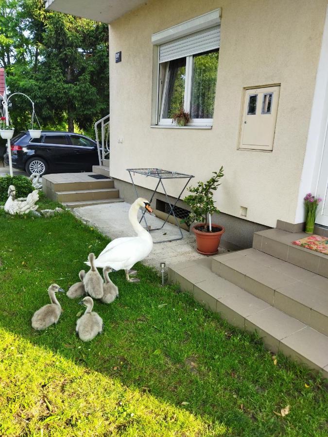 Apartman Na Jezeru Загреб Экстерьер фото